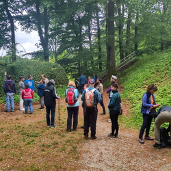 Frühjahrswanderung 2025 Leienfels