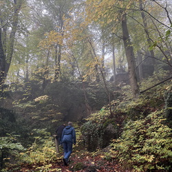 Herbstwanderung 2026